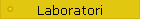 Laboratori